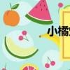 小橘燈（關于小橘燈簡介）