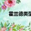 霍蘭德類型代碼有哪些(霍蘭德類型)