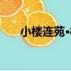 小樓連苑·梅（關于小樓連苑·梅簡介）