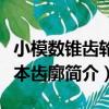 小模數錐齒輪基本齒廓（關于小模數錐齒輪基本齒廓簡介）