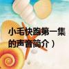 小毛快跑第一集：夏天的聲音（關于小毛快跑第一集：夏天的聲音簡介）