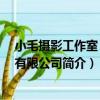 小毛攝影工作室 北京有限公司（關于小毛攝影工作室 北京有限公司簡介）
