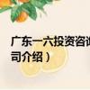 廣東一六投資咨詢有限公司（關于廣東一六投資咨詢有限公司介紹）
