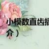 小模數直齒插齒刀（關于小模數直齒插齒刀簡介）