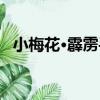 小梅花·霹靂手（關于小梅花·霹靂手簡介）