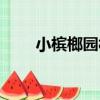 小檳榔園村（關于小檳榔園村簡介）