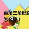 直角三角形斜邊怎么算面積（直角三角形斜邊怎么算）