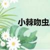 小棘吻蟲屬（關于小棘吻蟲屬簡介）