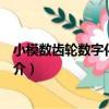 小模數齒輪數字化測試儀（關于小模數齒輪數字化測試儀簡介）
