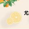 尤累（關于尤累簡介）