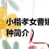 小楷孝女曹娥碑五種（關于小楷孝女曹娥碑五種簡介）