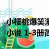 小櫻桃爆笑漫小說 1-3冊（關于小櫻桃爆笑漫小說 1-3冊簡介）