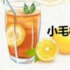 小毛村（關于小毛村簡介）