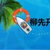 柳先開（關于柳先開的簡介）