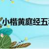 小楷黃庭經五種（關于小楷黃庭經五種簡介）