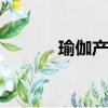 瑜伽產品介紹ppt（瑜伽產品）