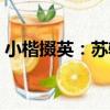 小楷掇英：蘇軾（關于小楷掇英：蘇軾簡介）