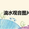 滴水觀音圖片（關于滴水觀音圖片的簡介）