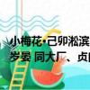 小梅花·己卯淞濱歲晏 同大廠、貞白（關于小梅花·己卯淞濱歲晏 同大廠、貞白簡介）