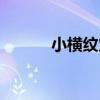 小橫紋穴（關于小橫紋穴簡介）