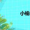 小榆村（關于小榆村簡介）