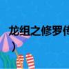 龍組之修羅傳說（關于龍組之修羅傳說的簡介）