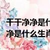干干凈凈是什么生肖百度找最佳答案（干干凈凈是什么生肖）