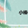 小棒體（關于小棒體簡介）