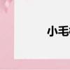 小毛桃（關于小毛桃簡介）