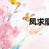 鳳求凰琴歌詞（鳳求凰琴歌）