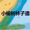 小榆樹林子遺址（關于小榆樹林子遺址簡介）