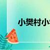 小樊村小學（關于小樊村小學簡介）