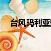 臺風瑪利亞影響哪些地方（臺風瑪利亞）