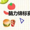 腦力錦標賽（關于腦力錦標賽的簡介）