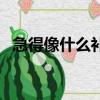 急得像什么補充詞語二年級（急得像什么）