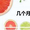 幾個月照4維（四維幾個月照）