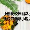 小櫻桃校園幽默小說之我們這一幫：站住！冤家（關于小櫻桃校園幽默小說之我們這一幫：站住！冤家簡介）
