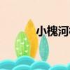小槐河橋（關于小槐河橋簡介）