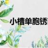 小槽單胞銹菌（關于小槽單胞銹菌簡介）