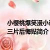 小櫻桃爆笑漫小說：三片后悔貼（關于小櫻桃爆笑漫小說：三片后悔貼簡介）