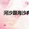 河沙跟海沙有何區別（海沙與河沙的區別）