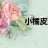 小橘皮湯（關于小橘皮湯簡介）