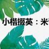 小楷掇英：米芾（關于小楷掇英：米芾簡介）