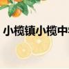 小欖鎮小欖中學（關于小欖鎮小欖中學簡介）