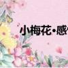 小梅花·感懷（關于小梅花·感懷簡介）