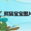 熊貓寶寶圖片（關于熊貓寶寶圖片的簡介）
