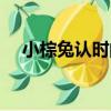 小棕兔認時間（關于小棕兔認時間簡介）