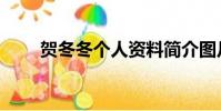 賀冬冬個人資料簡介圖片(何東東)