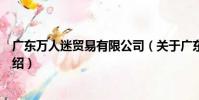 廣東萬人迷貿易有限公司(關于廣東萬人迷貿易有限公司介紹)