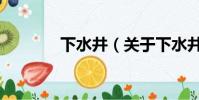 下水井(關于下水井的簡介)
